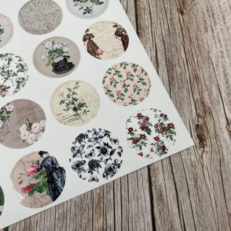 IMG_E0324-min IMG_E0324-min