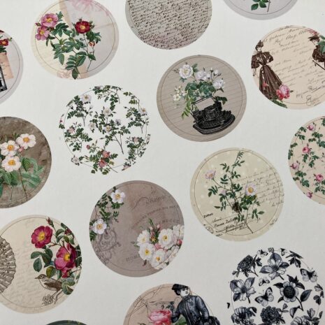 IMG_E0325-min IMG_E0325-min