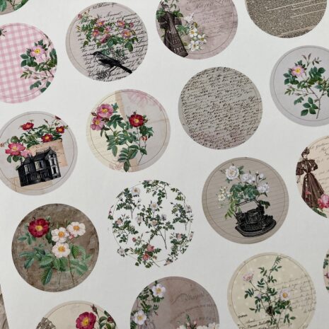 IMG_E0326-min IMG_E0326-min