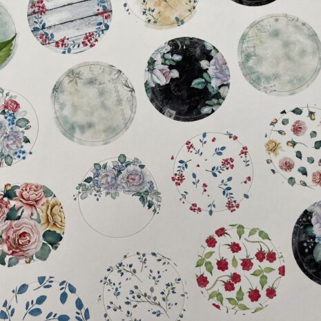 IMG_E0346-min IMG_E0346-min