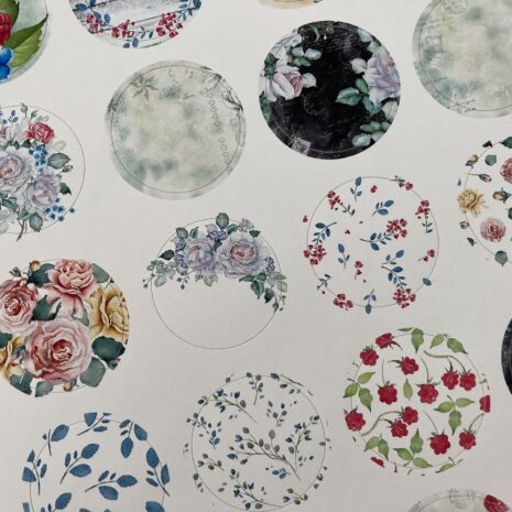 IMG_E0347-min IMG_E0347-min