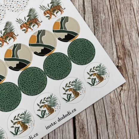 IMG_E0350-min IMG_E0350-min