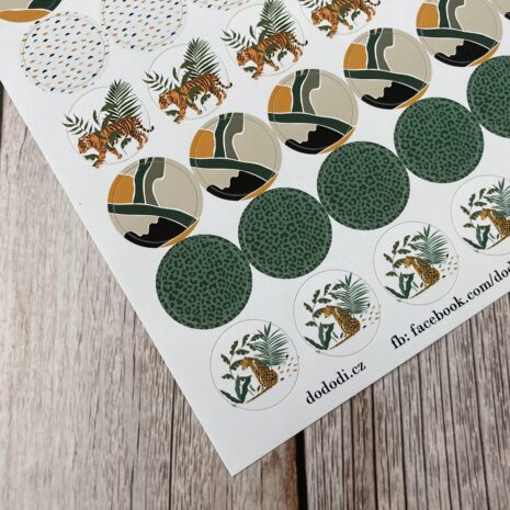 IMG_E0351-min IMG_E0351-min