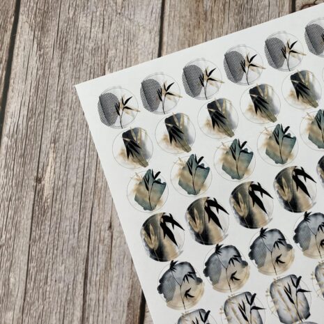 IMG_E0359-min IMG_E0359-min