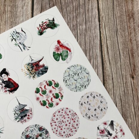 IMG_E0366-min IMG_E0366-min