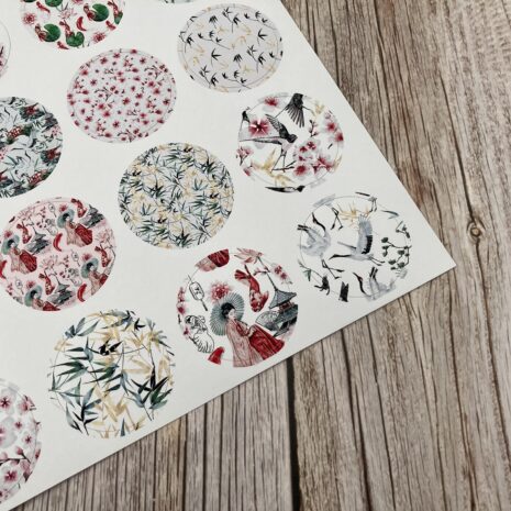 IMG_E0367-min IMG_E0367-min