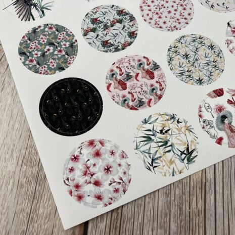 IMG_E0368-min IMG_E0368-min