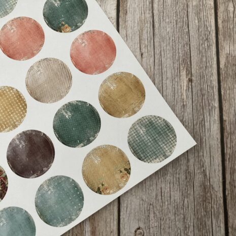 IMG_E0381-min IMG_E0381-min