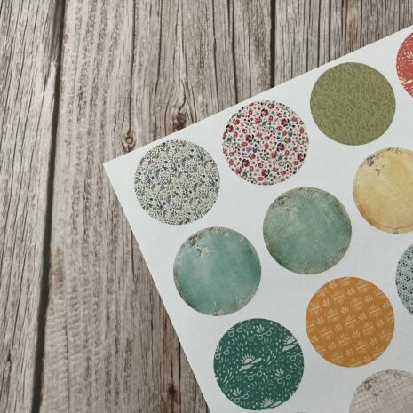 IMG_E0384-min IMG_E0384-min