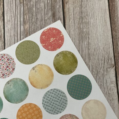 IMG_E0385-min IMG_E0385-min