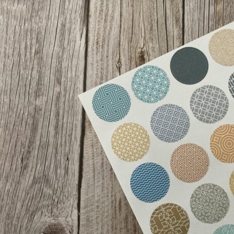 IMG_E0405-min IMG_E0405-min