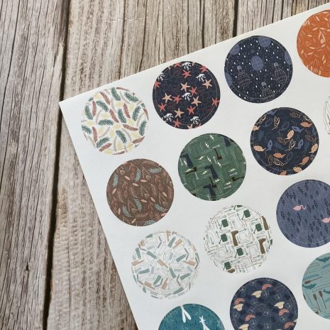 IMG_E1428-min IMG_E1428-min