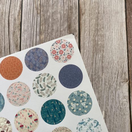 IMG_E1436-min IMG_E1436-min