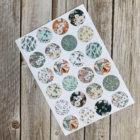 IMG_E2976-min IMG_E2976-min