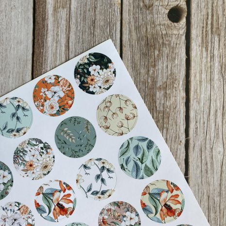 IMG_E2979-min IMG_E2979-min