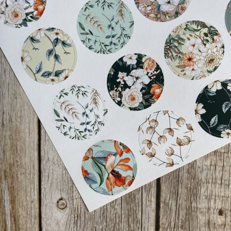 IMG_E2981-min IMG_E2981-min