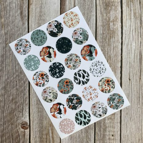 IMG_E2991-min IMG_E2991-min