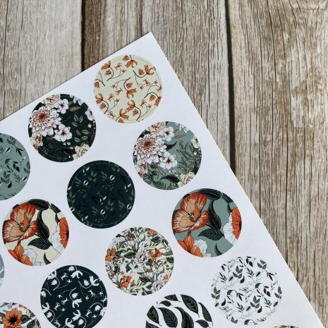 IMG_E2994-min IMG_E2994-min