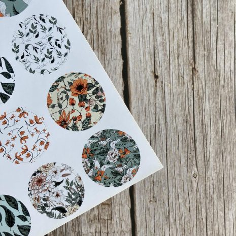 IMG_E2995-min IMG_E2995-min